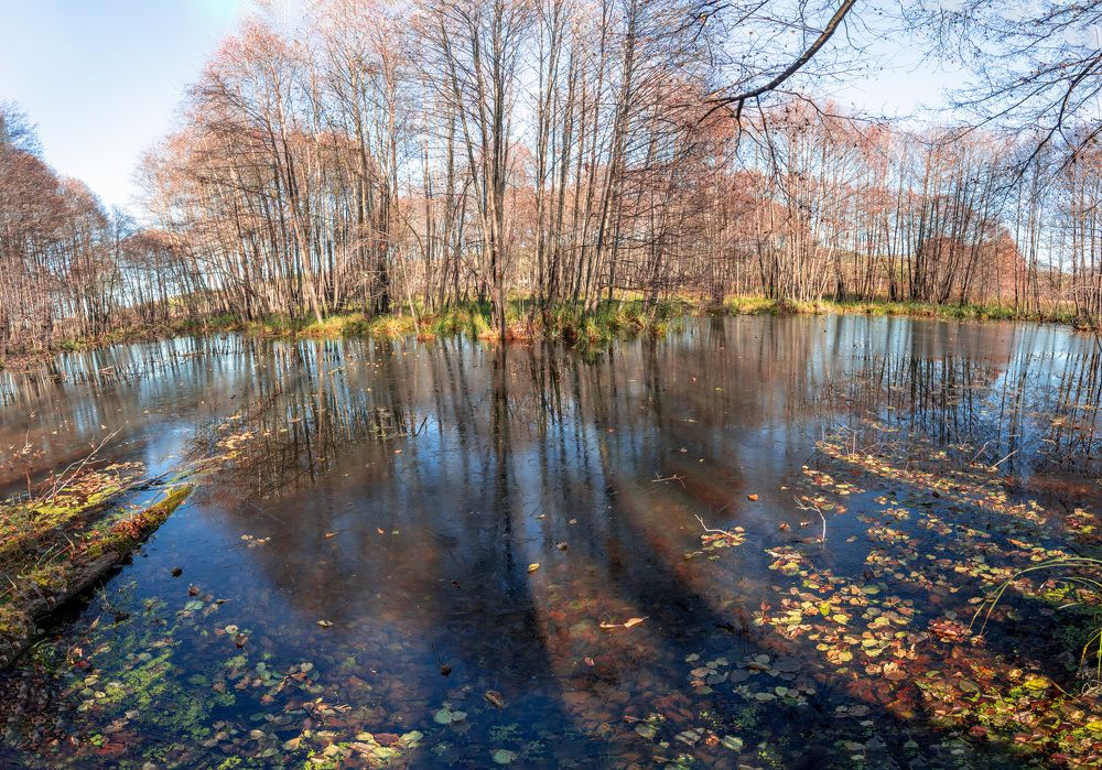 Photograph by Lapin Vitaly