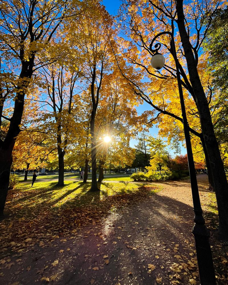 Photograph by Анастасия Милютина