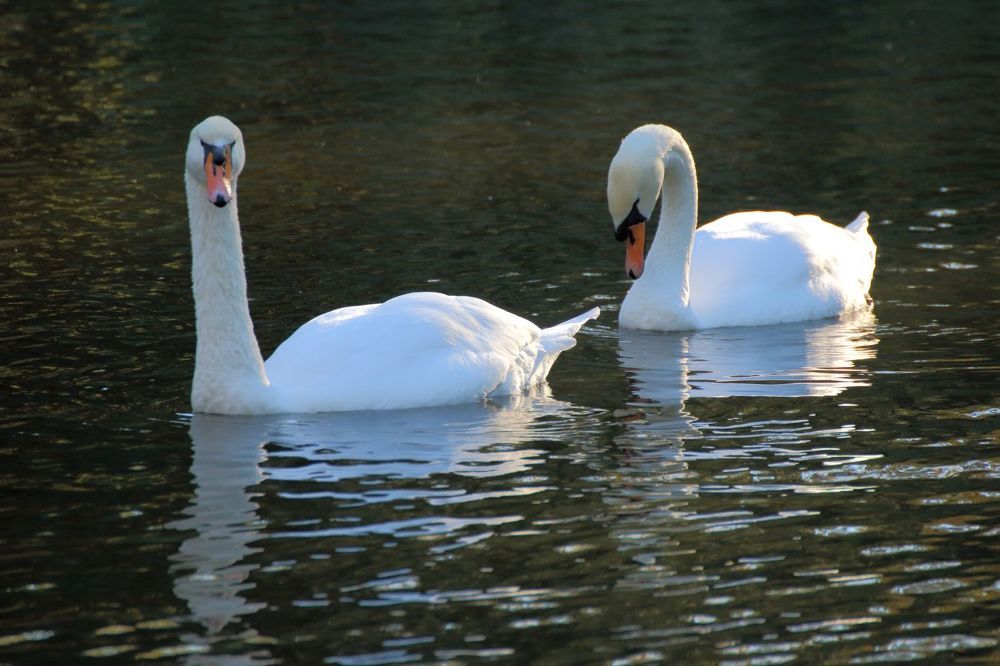 Photograph by Юрий Варюхин