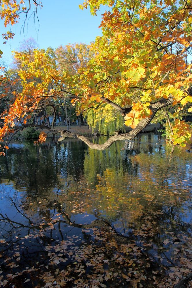 Photograph by Юрий Варюхин