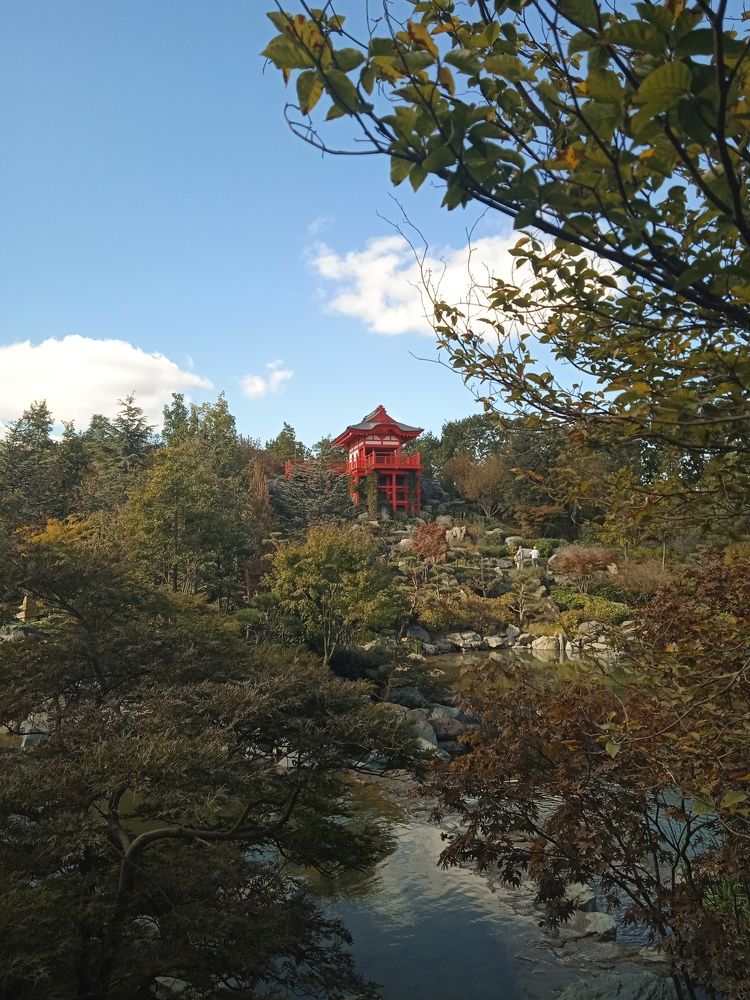 Photograph by Наталья Покрепина