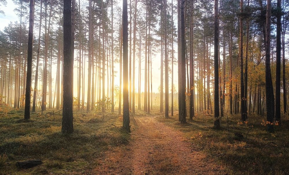 Photograph by Leanid Kulpo