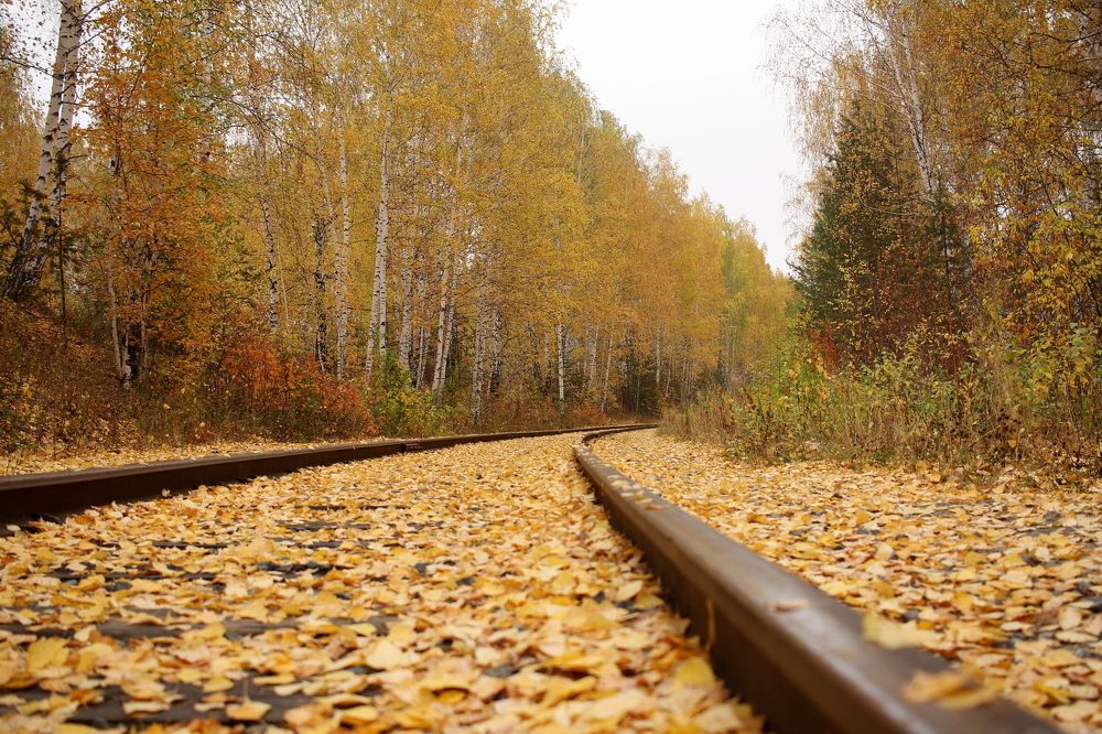 Photograph by Евгений Распопин