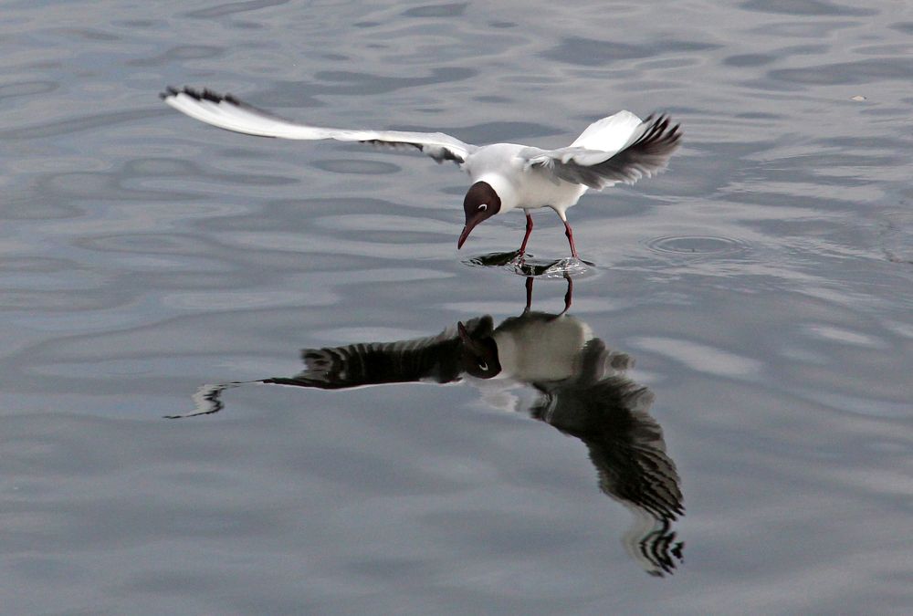 Как в зеркале
