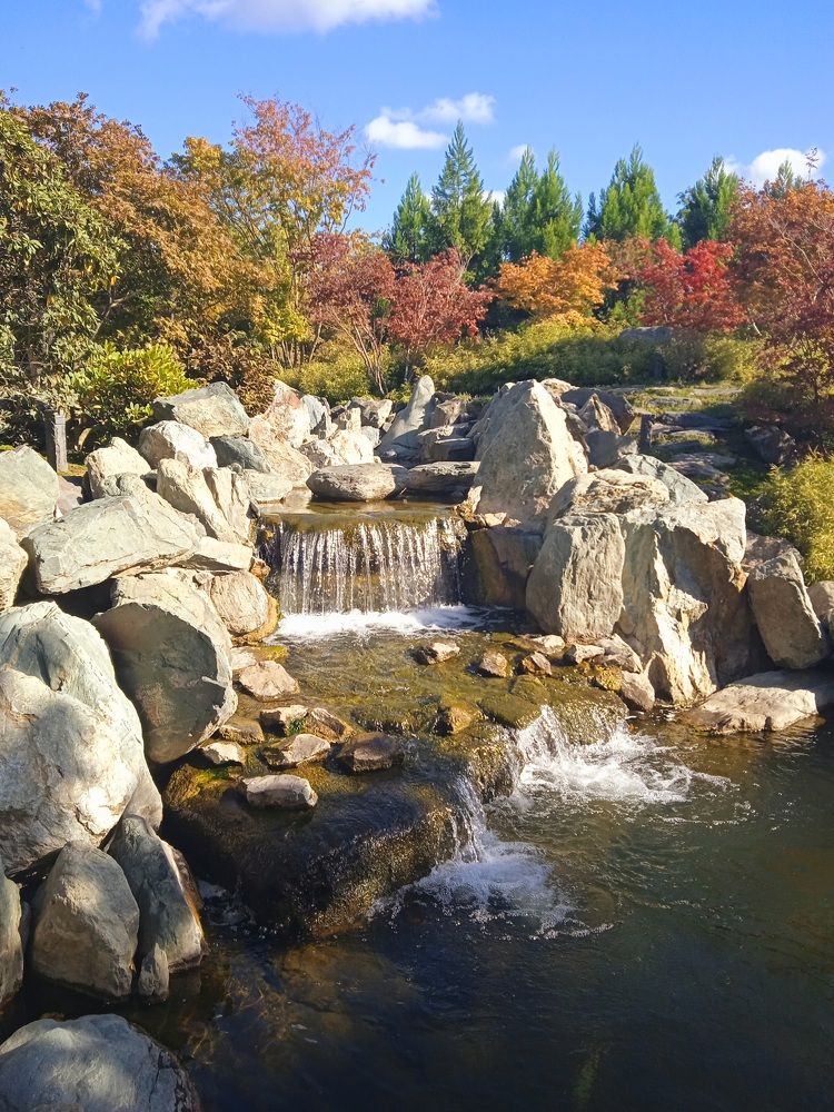 Photograph by Наталья Покрепина