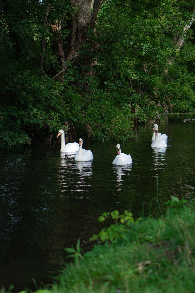 Photograph by Диана