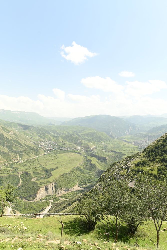 Фотография автора Пикина Татьяна