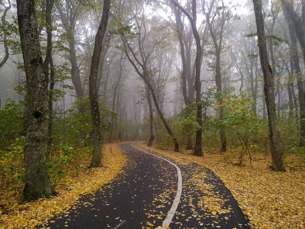 Photograph by Виталий Маслов