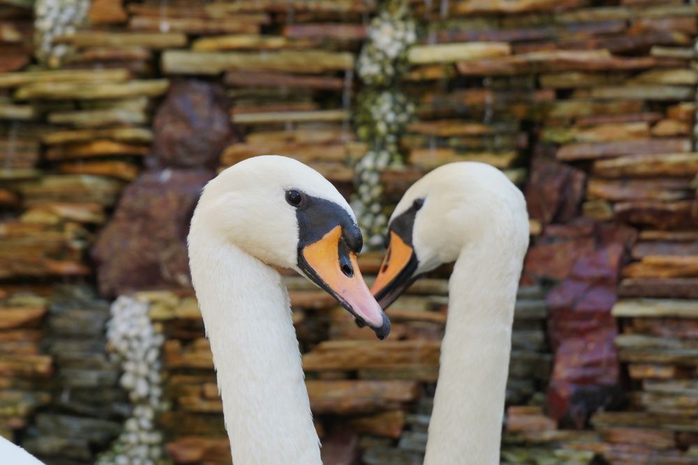 Photograph by Артём Пархоменко