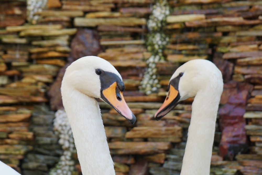 Photograph by Артём Пархоменко