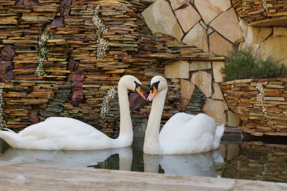 Photograph by Артём Пархоменко