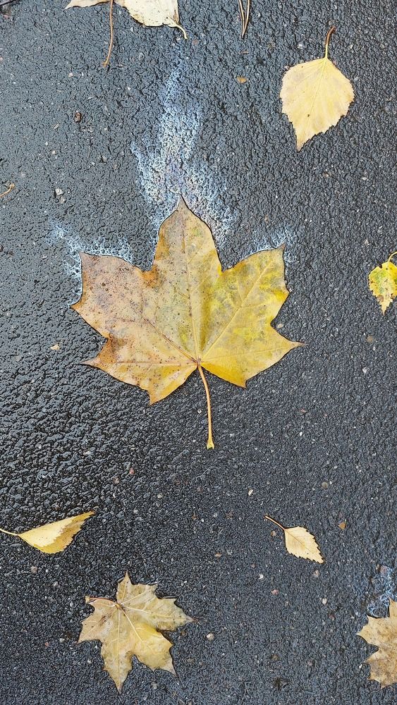 Photograph by Марина Алёшина