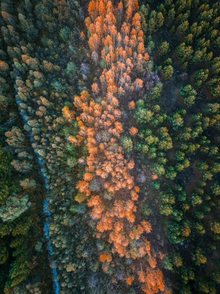 Photograph by Konstantin Martynov