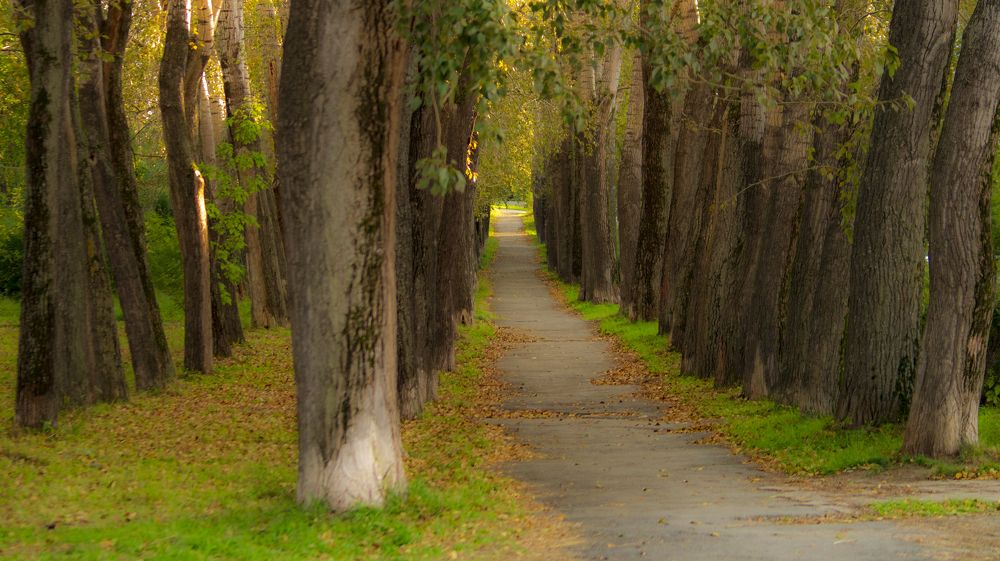 Фотография автора Роман Чернышов