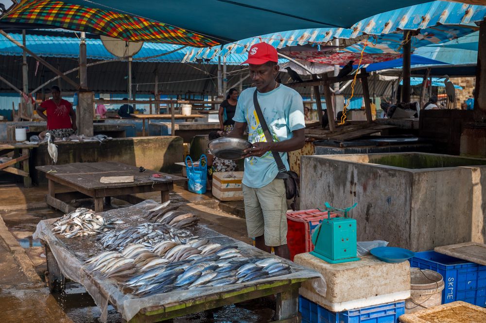 Photograph by Анопченко Ирина