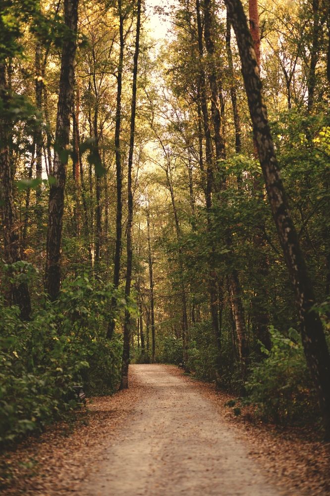 Photograph by Галина Шипухина