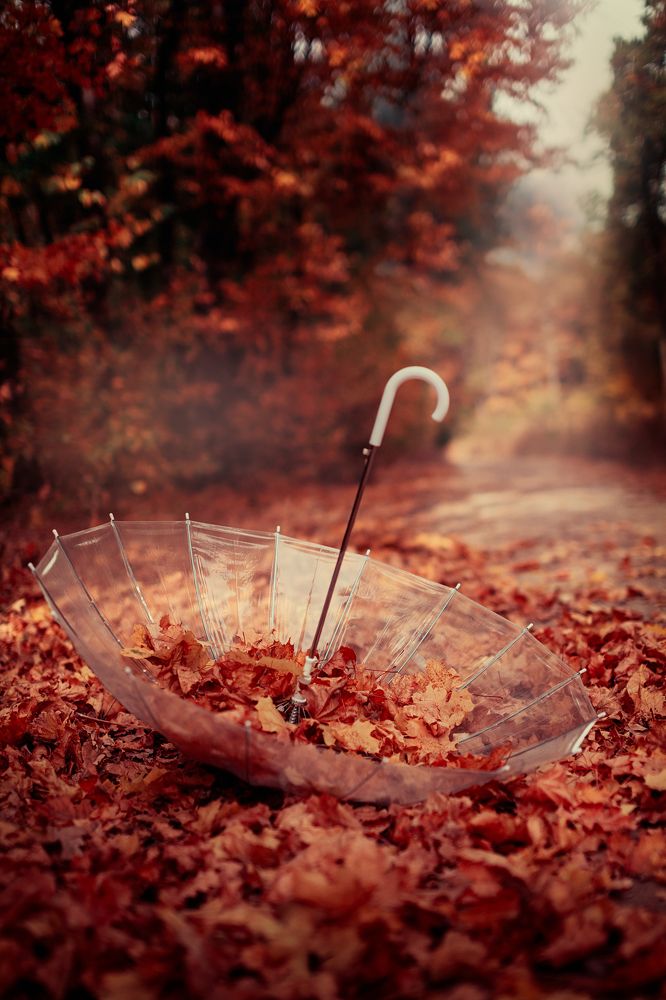 Photograph by Анопченко Ирина