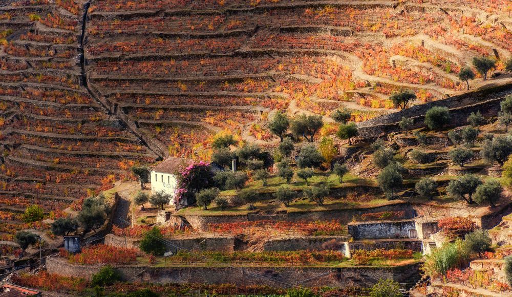 Photograph by Валерия Трейтяк