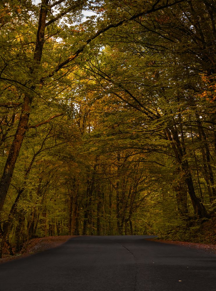 Photograph by Сергей Тишков