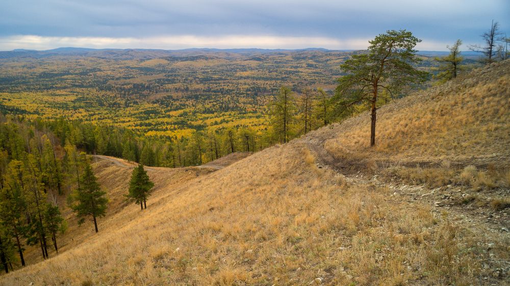 Фотография автора Роман Чернышов