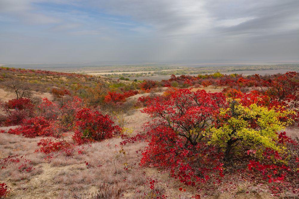 Photograph by Шишкалов Константин