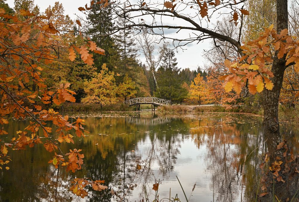 Photograph by Inna Ivanova