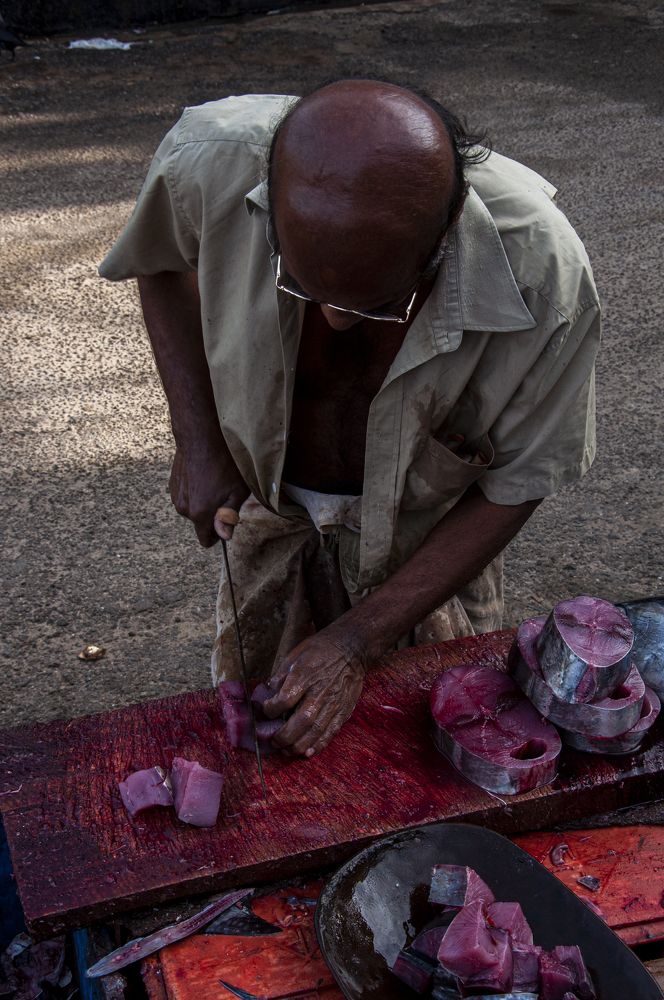 Photograph by Chamara Sulakkhana Polwatta Siriyalage