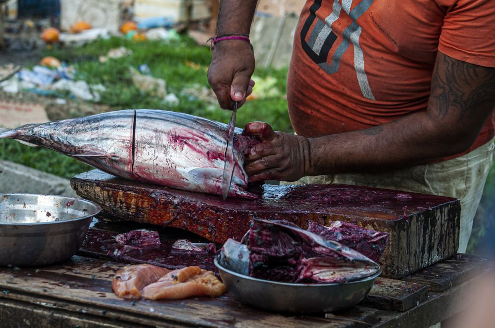 Photograph by Chamara Sulakkhana Polwatta Siriyalage