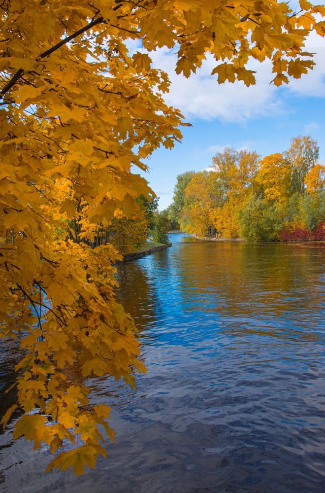 Photograph by Анна Васильева