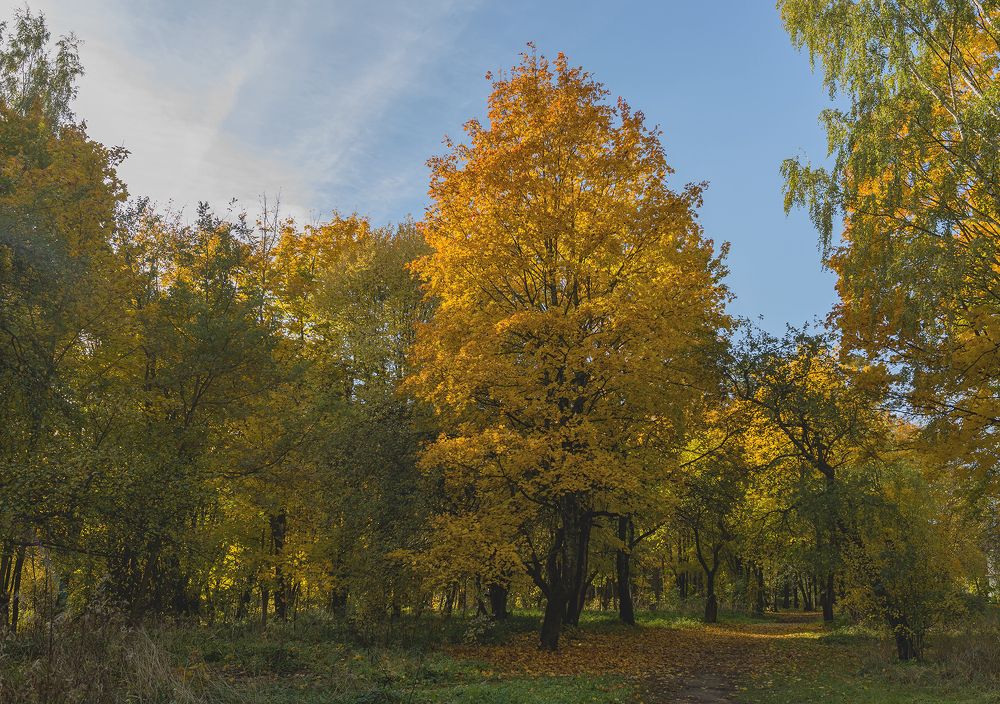 Photograph by Cергей Черныш