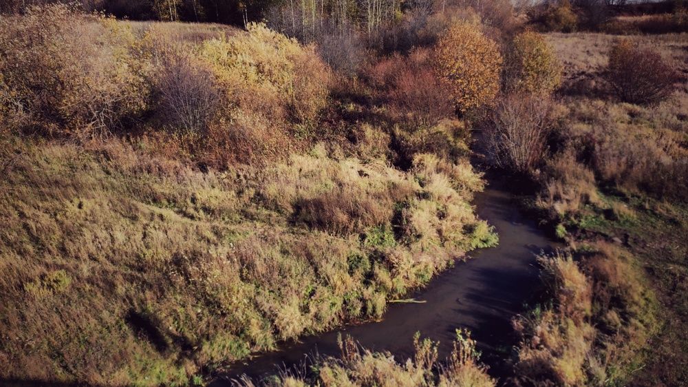 Photograph by Калюнова Наталья