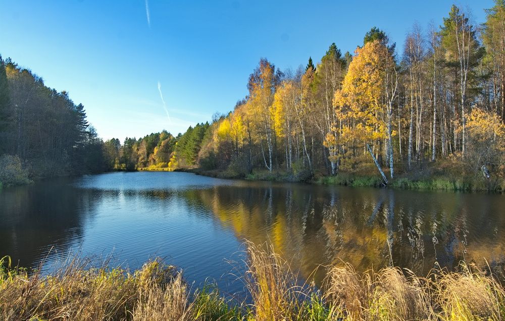 Photograph by Юрий Митенёв