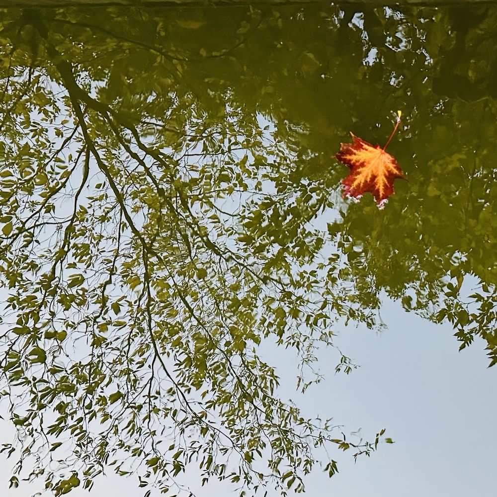 Photograph by Zakhar Lopatin