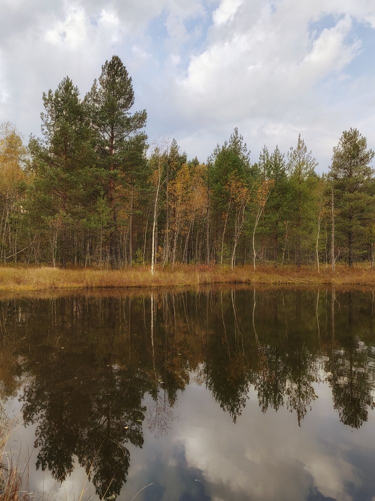 Фотография автора Татьяна Егорова