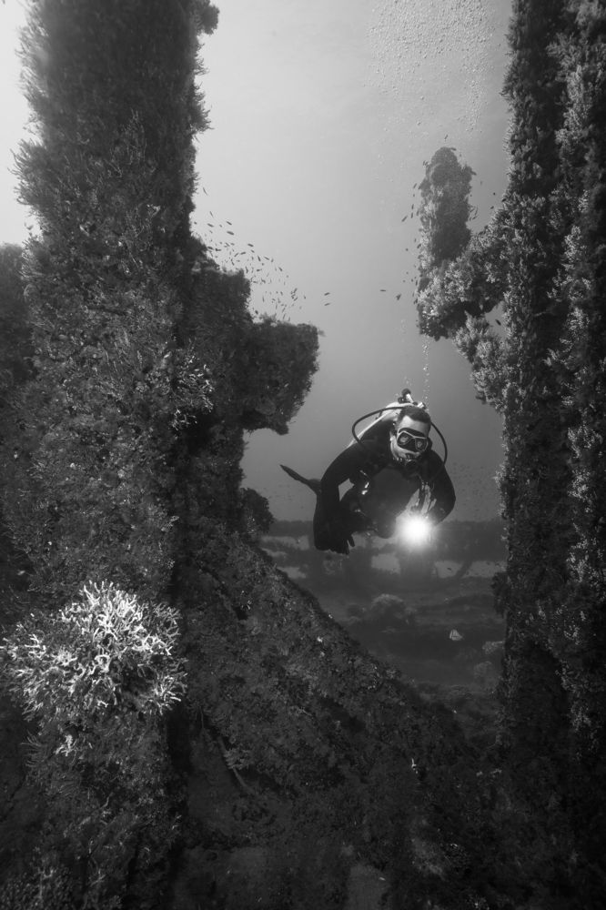 Photograph by Gustavo Costa