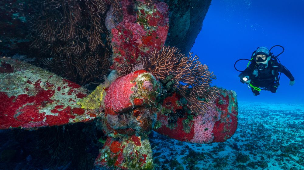 Photograph by Gustavo Costa