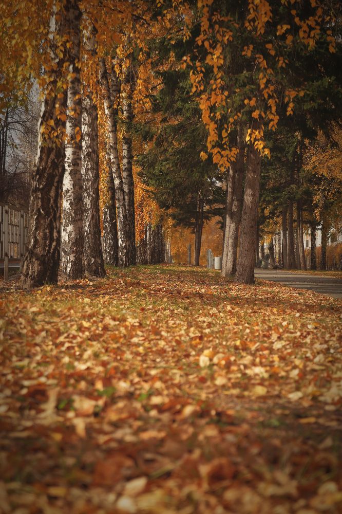 Photograph by Сергей
