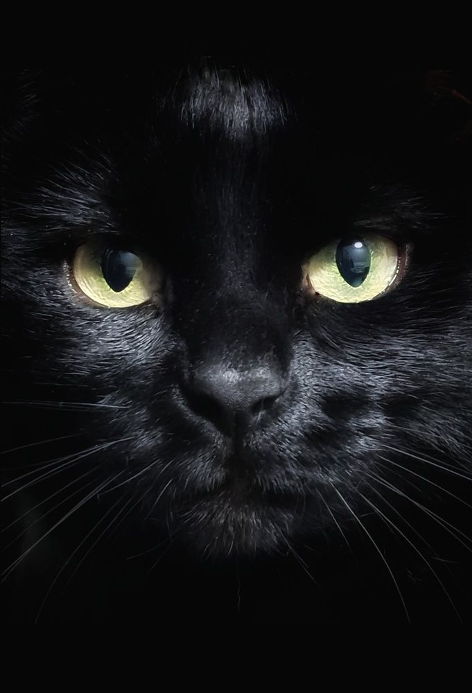 Photograph by Екатерина Панфилова