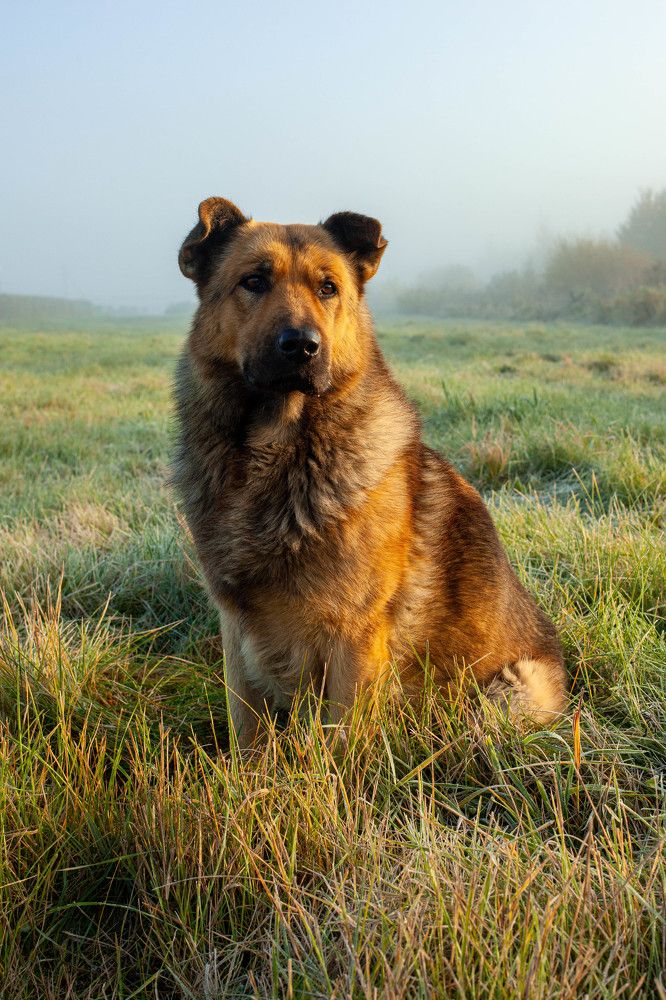 Photograph by Ирина Антонова