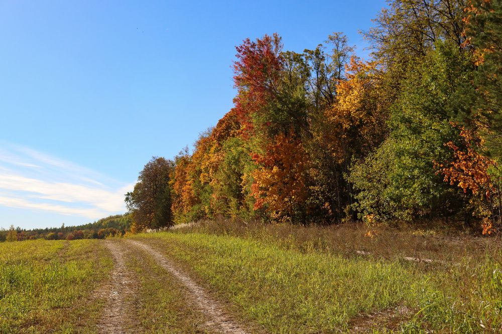 Photograph by Елена Рудкевич