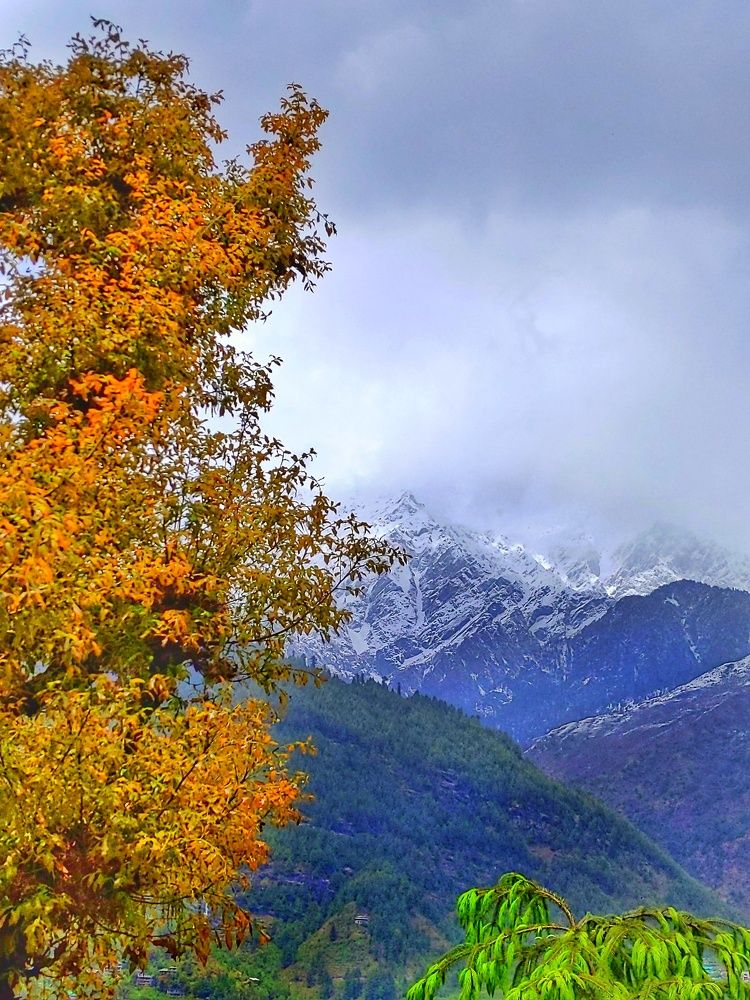 Photograph by Sai Krishna