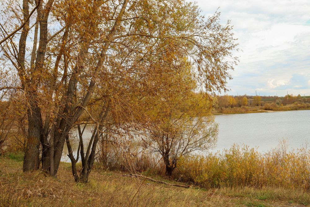 Photograph by Елена Рудкевич