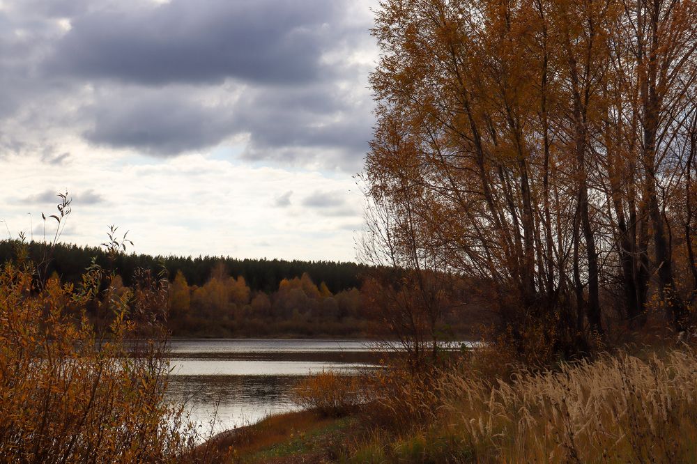 Photograph by Елена Рудкевич