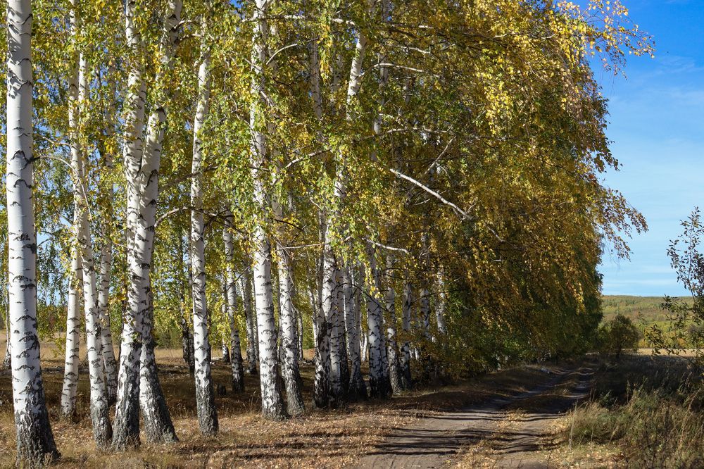 Photograph by Елена Рудкевич