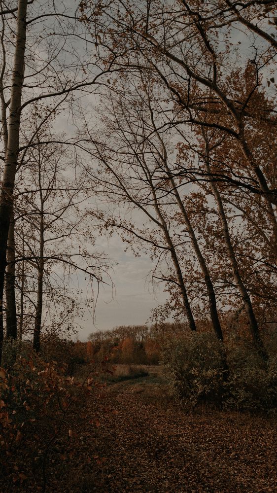 Photograph by Татьяна Ремизова