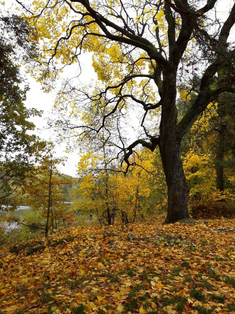 Photograph by Татьяна Солтан