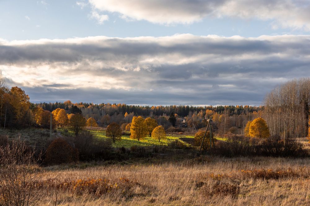 Photograph by Николай Рымар