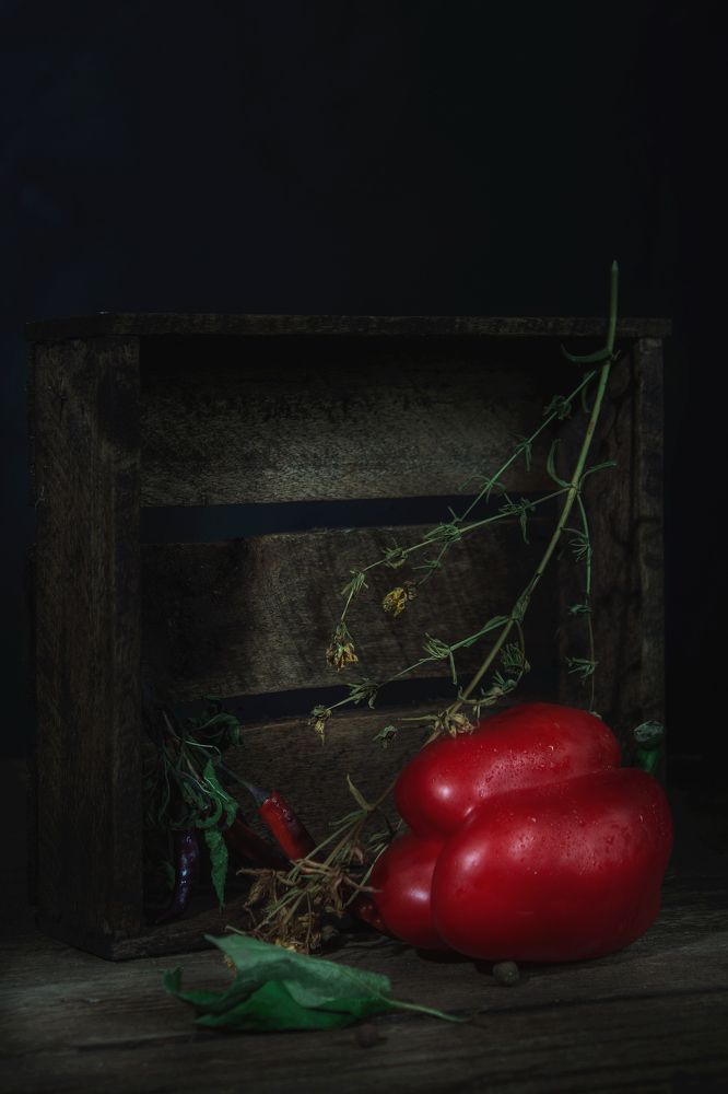 Photograph by Ольга Сергеенко