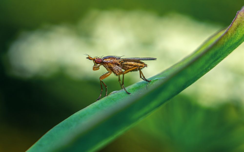 Photograph by Andrey Rut