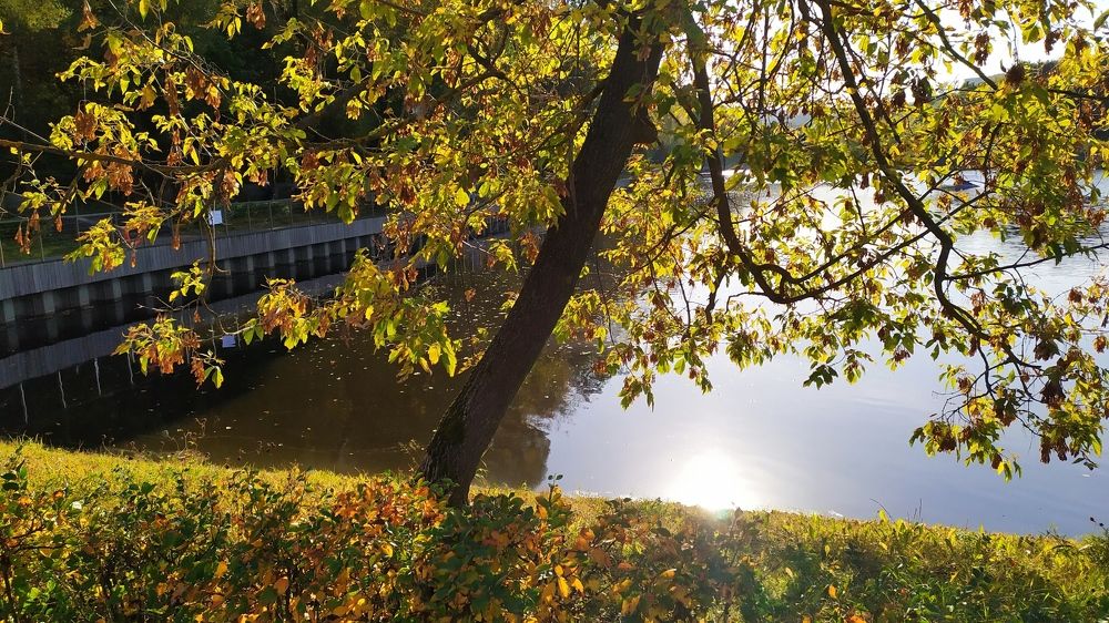 Photograph by Елена Смирнова